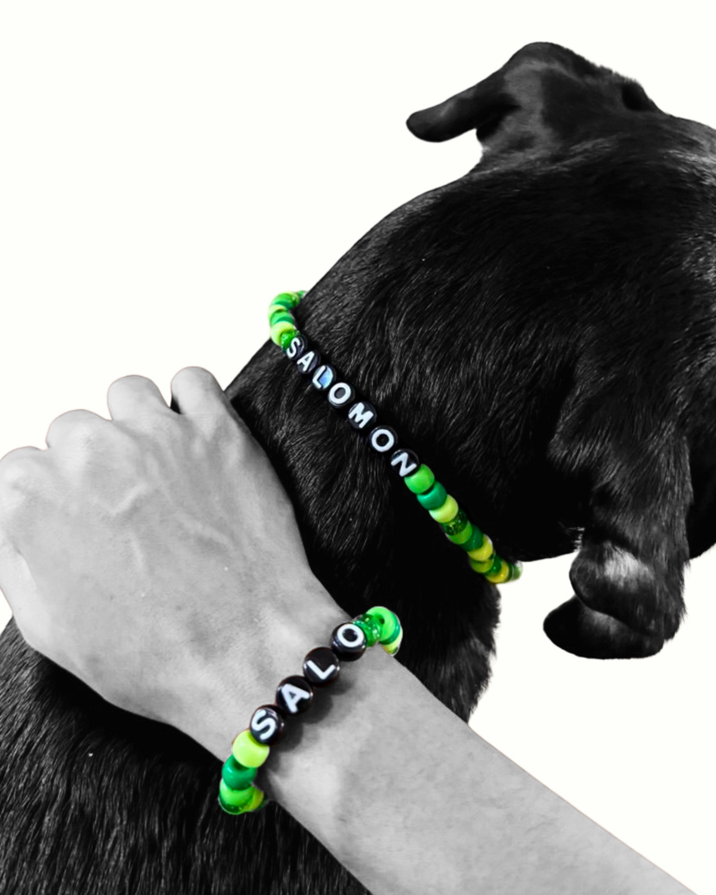 BESTiES: THE BRACELET