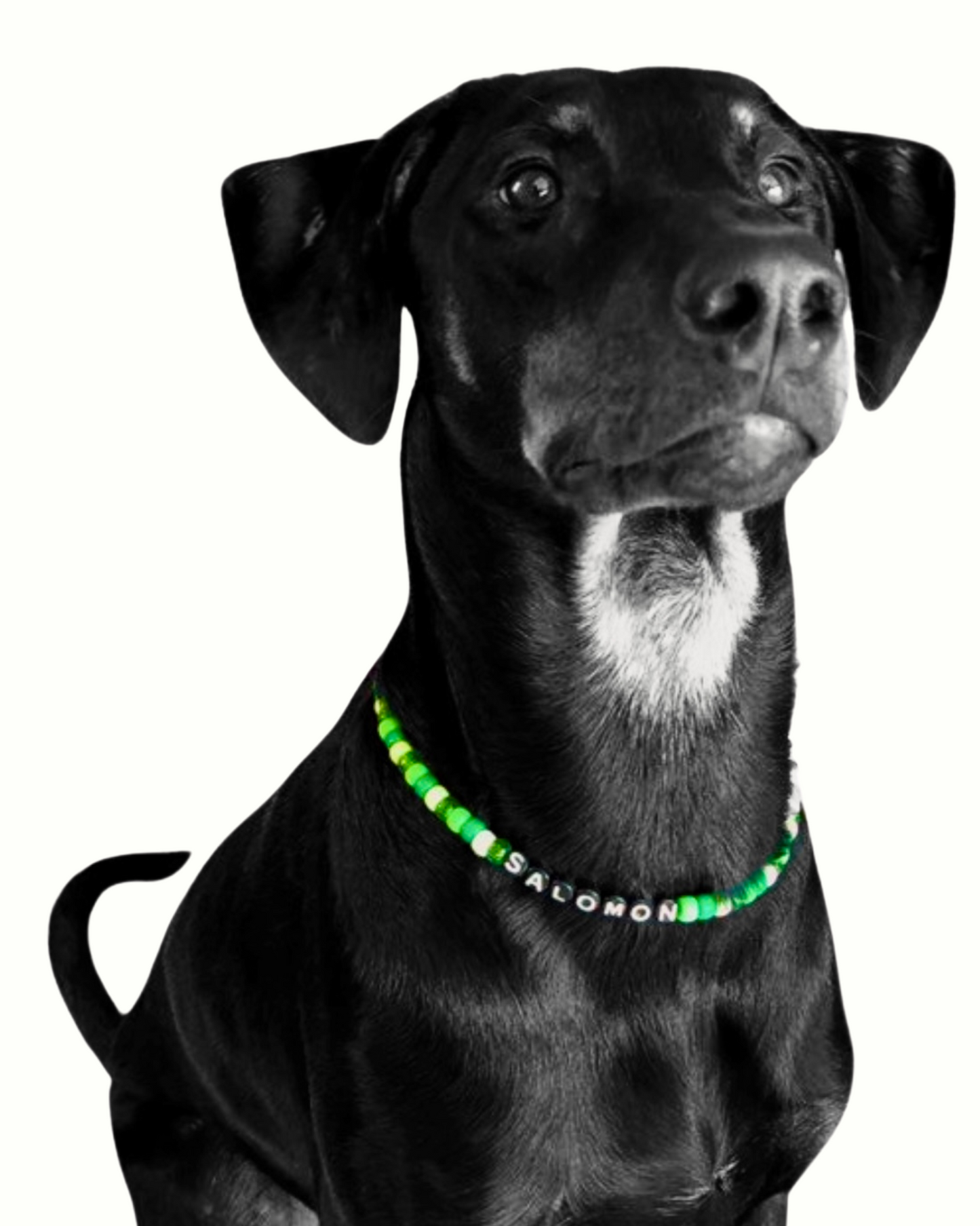 BESTiES: THE DOG NECKLACE