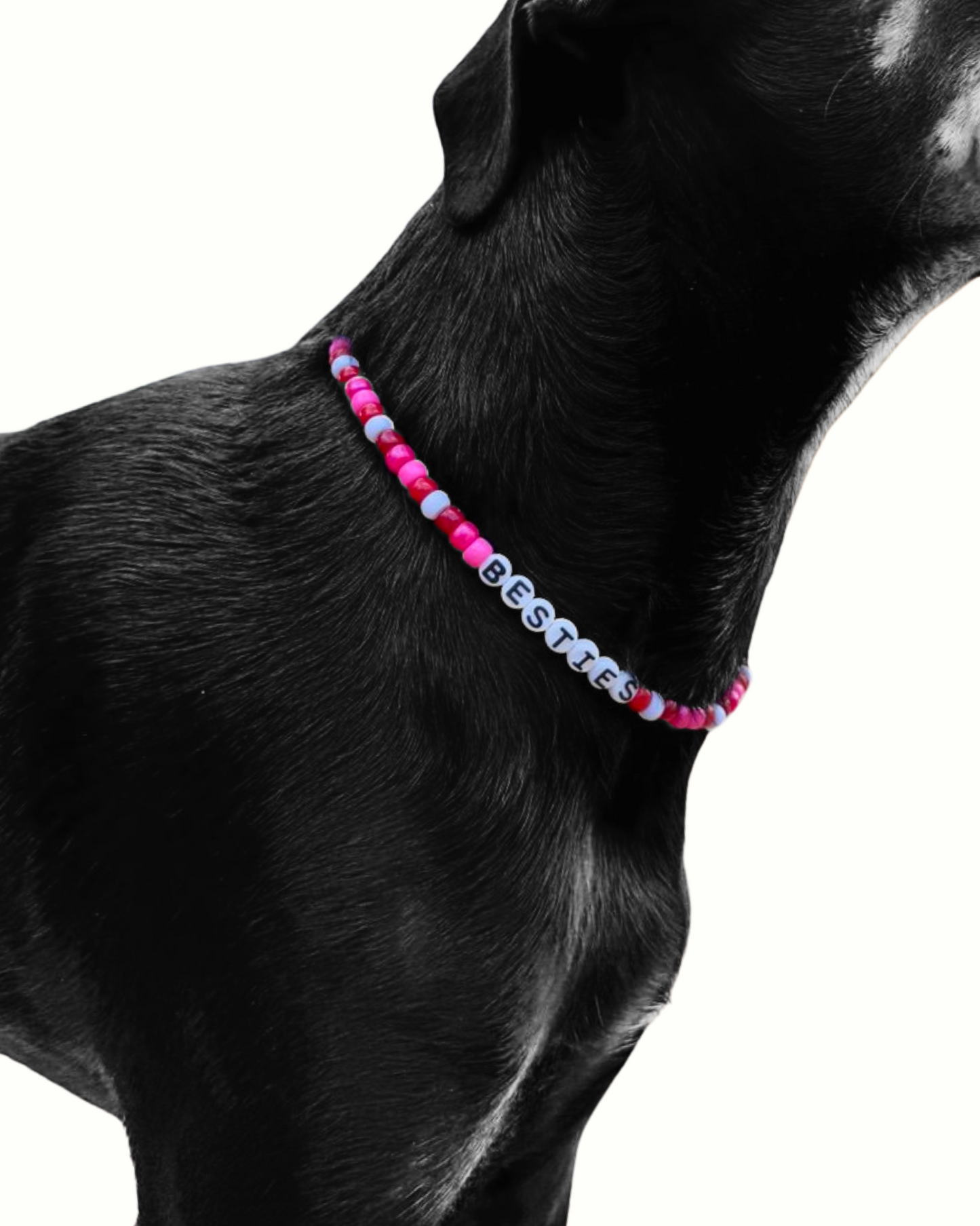 BESTiES: THE DOG NECKLACE