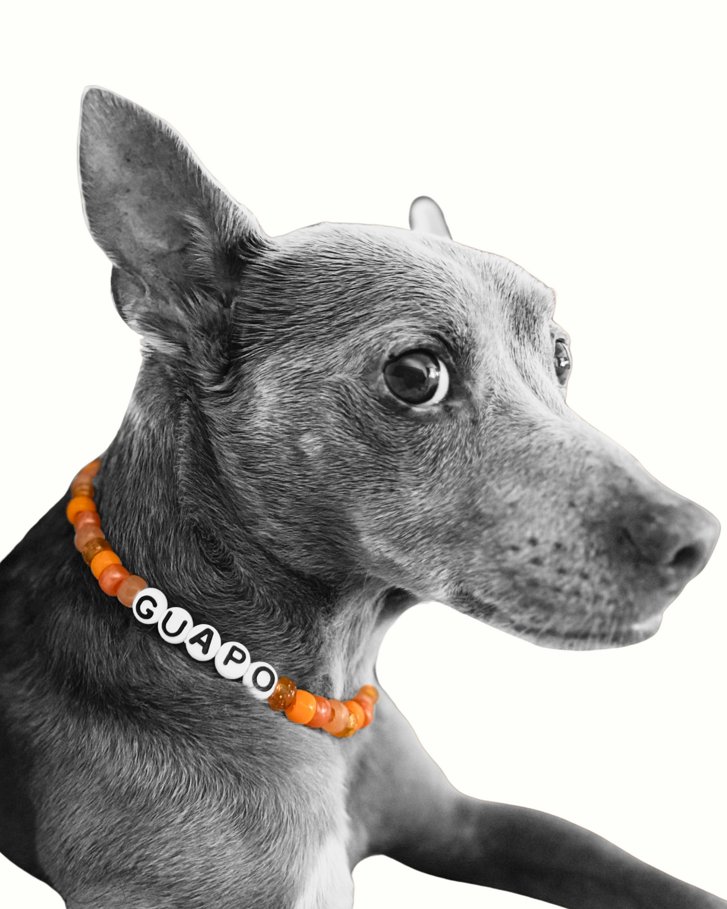 BESTiES: THE DOG NECKLACE