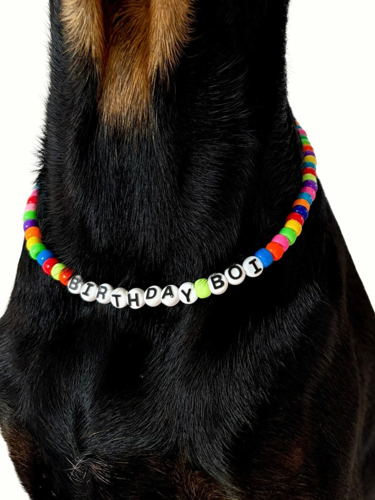 iT'S MY BDAY: DOG NECKLACE