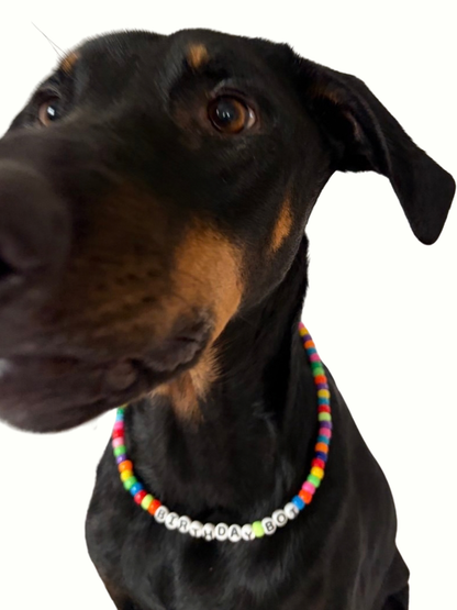 iT'S MY BDAY: DOG NECKLACE